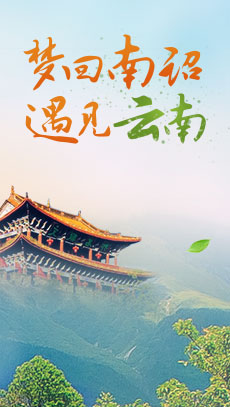 精品国内游